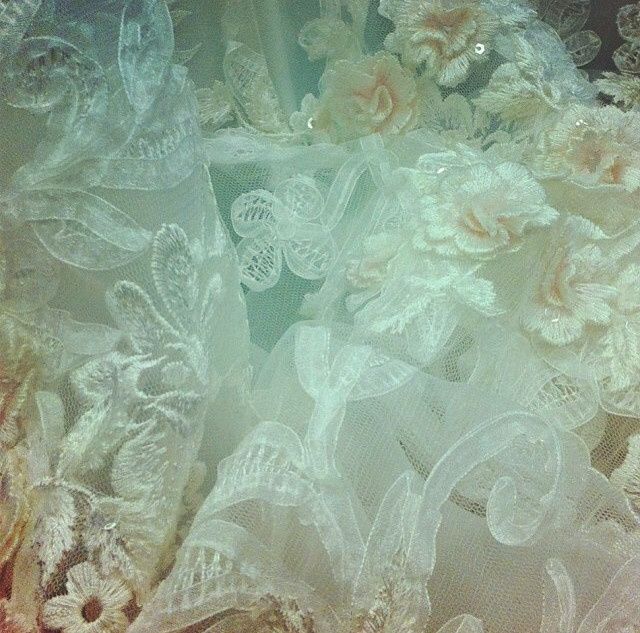 My blush veil! *pics*