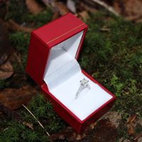 2024 Brides - Show us your ring! - 1