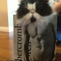 Stupid Meltdown! Words of love needed