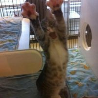 Stupid Meltdown! Words of love needed