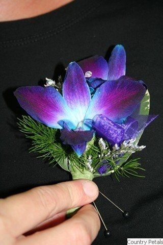 Let's talk FLOWERS!
