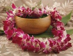 Let's talk FLOWERS!