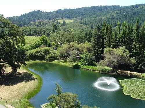 Great U.S. honeymoon ideas....for August?