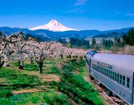 Great U.S. honeymoon ideas....for August?