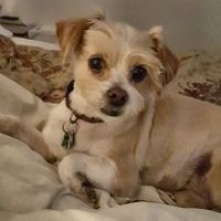 Let's see your fur babies!! - 2