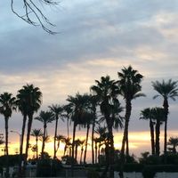 Honeymoon in the States - 2