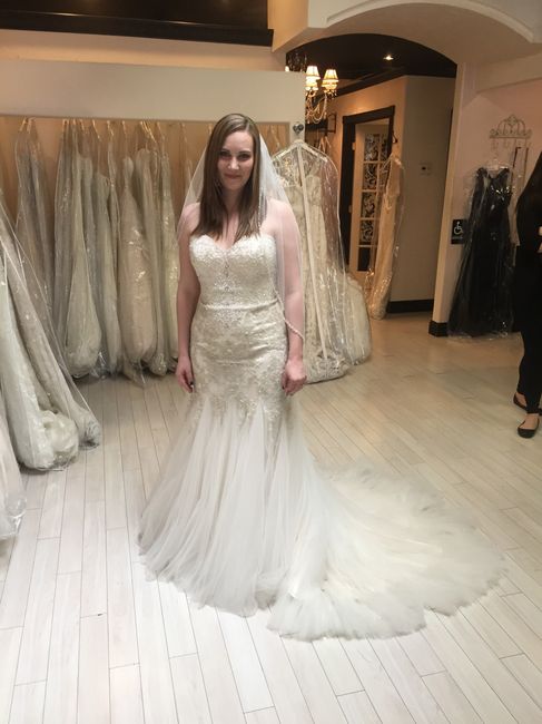Getting excited!!! Let's see your dresses!