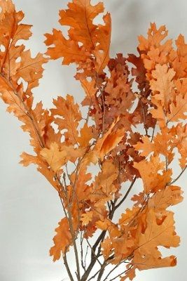 Centerpiece ideas. I'm stuck. Where are my other fall brides?