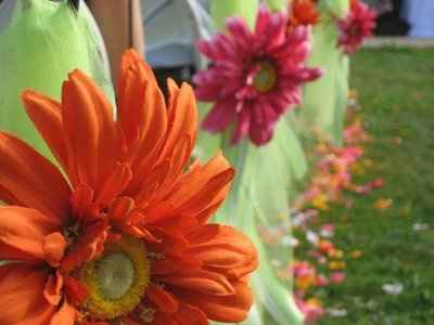 some advice ladies!!!! plz