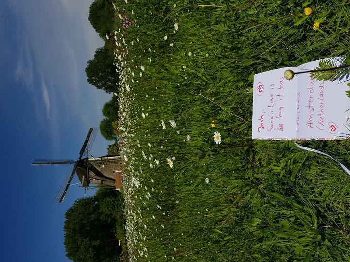 that is the first one and second one to follow