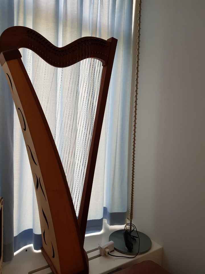 my harp