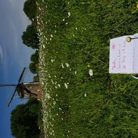 that is the first one and second one to follow