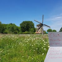 ok... soo ... I tried again. Hope it is ok...