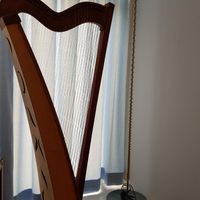 my harp