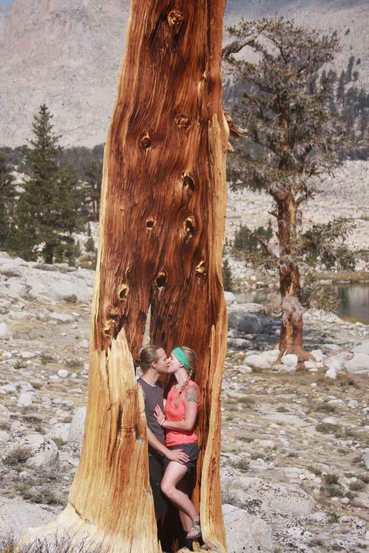 Encouragement!  I am overwhelmed.