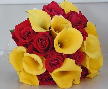 Help with flower colors