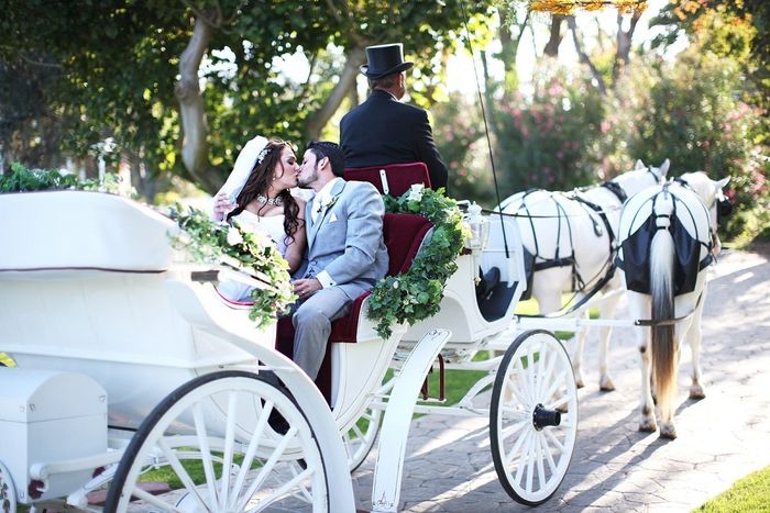 The Pumpkin Carriage I had To Have **PICS**