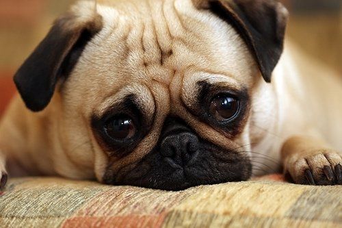 This is how I feel about wedding planning....