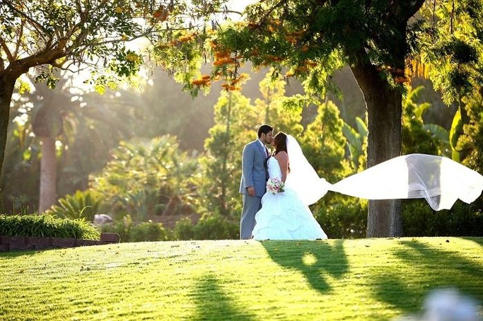 Show me your wedding gown