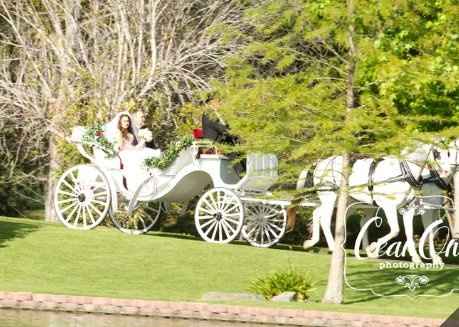 How are you arriving to your wedding?