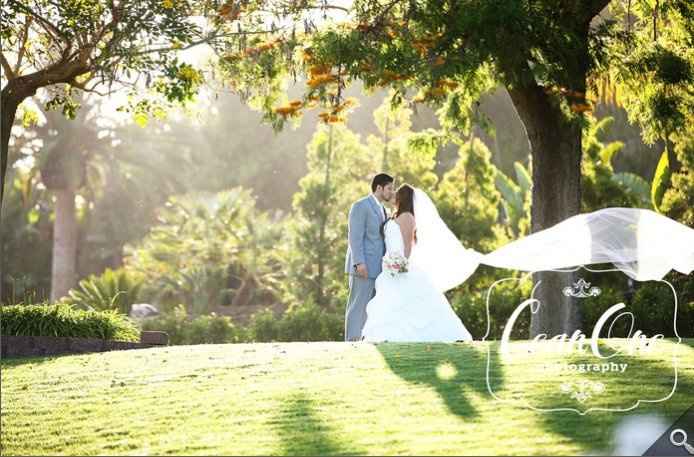ladies... show us your veil!!