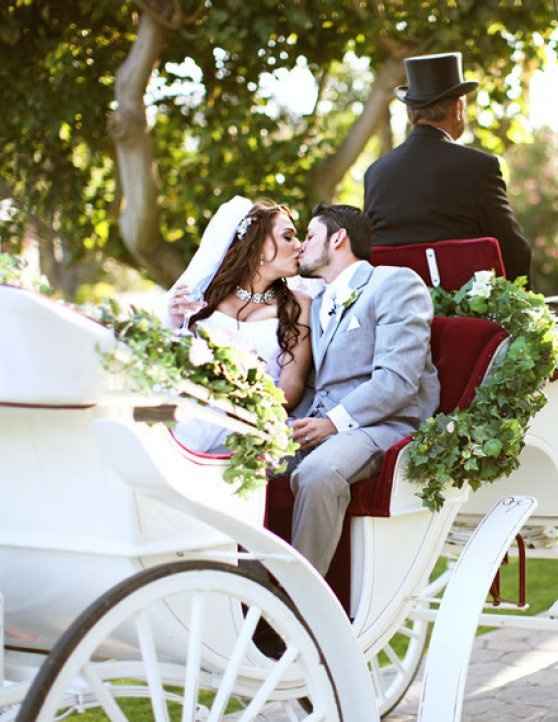 Horse-drawn carriage