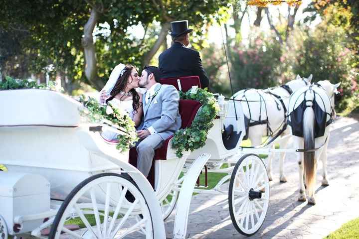 Would you? - Horse and Carriage