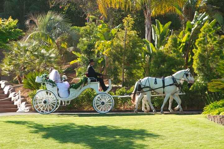 Would you? - Horse and Carriage
