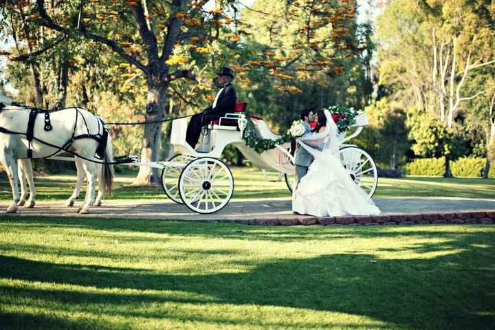 Would you? - Horse and Carriage