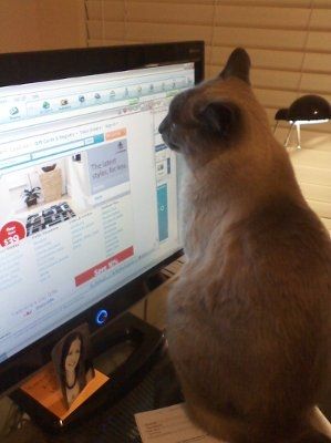 Show off your furbabies!