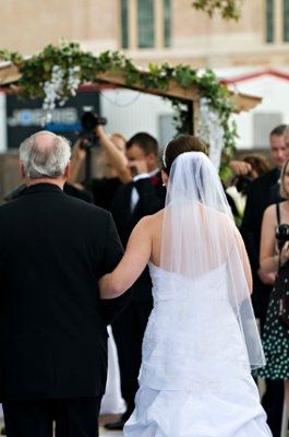 Updo with a veil