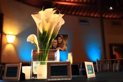 What are you doing for centerpieces?