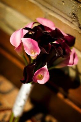 Flower heachahc for Teal and Black wedding....