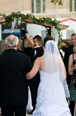 Updo with a veil