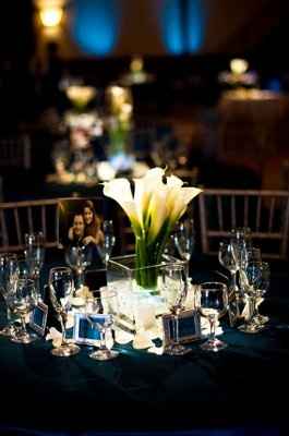 What are you doing for centerpieces?
