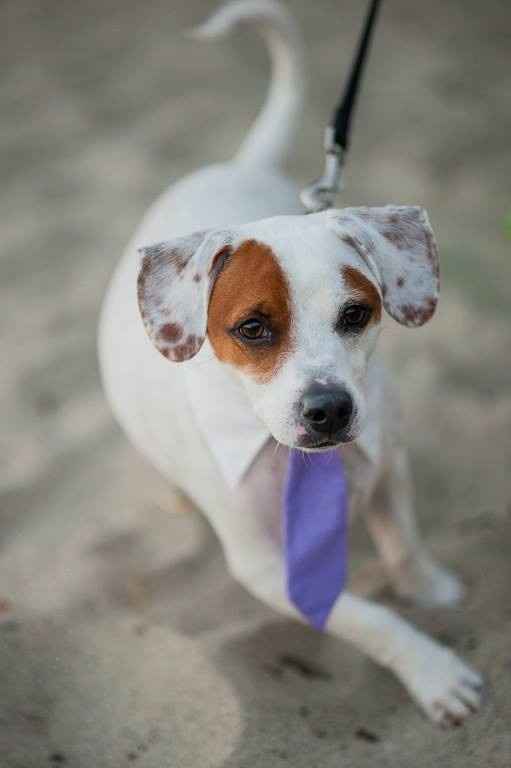 your fur babies baby pics- share'em if you got'em