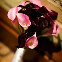 Flower heachahc for Teal and Black wedding....