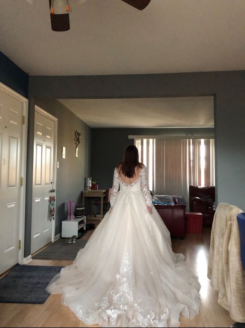 My wedding dress is here... 2