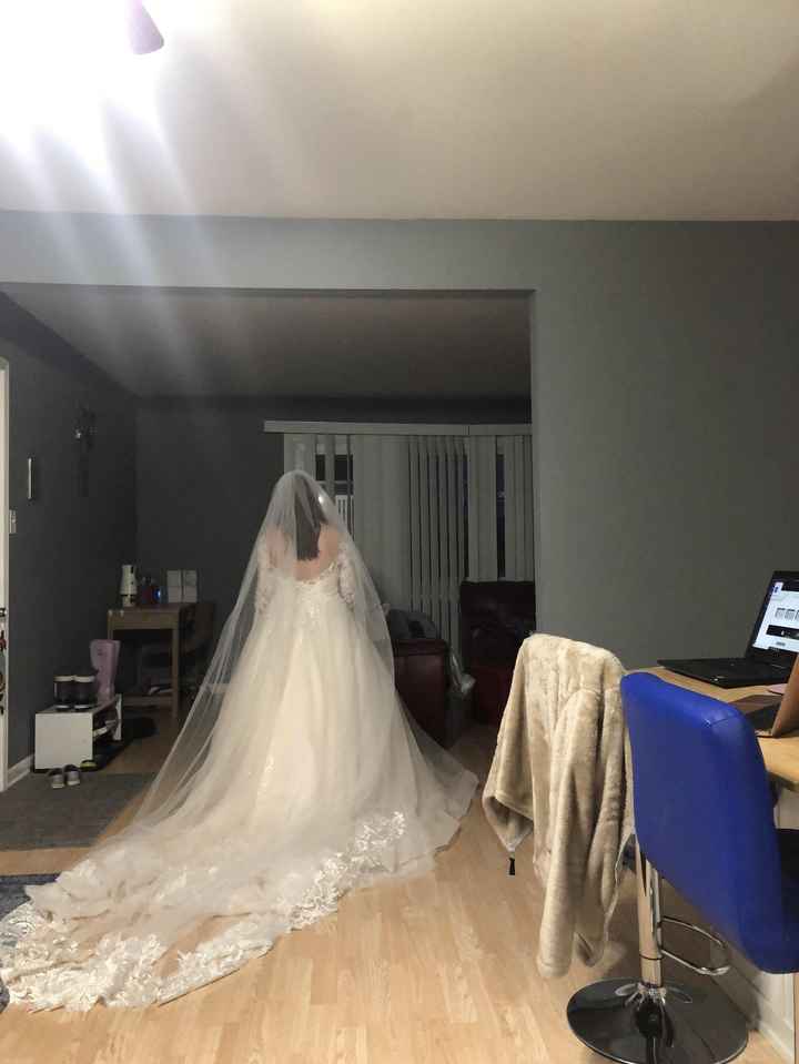 Veil too long...? - 2