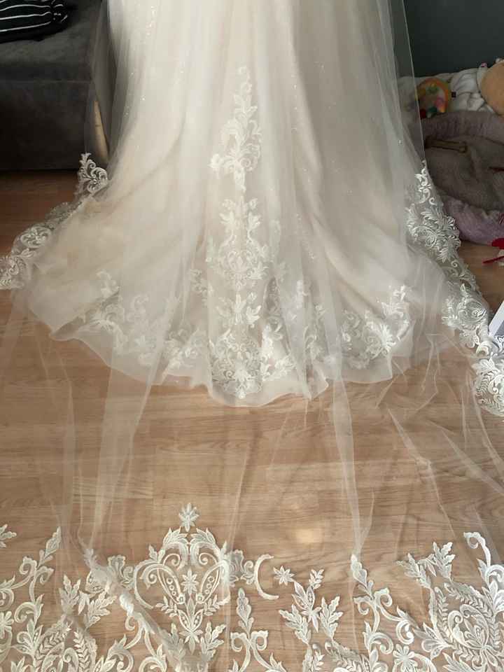 Veil too long...? - 2