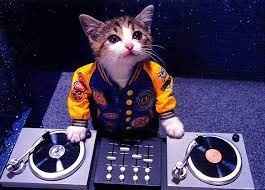 No Human DJ ?