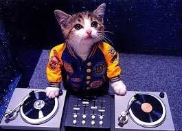 No Human DJ ?