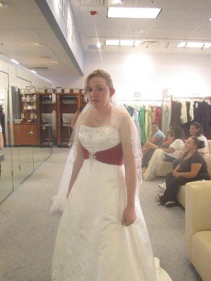 Today is the day!!! **PICS** I GOT MY DRESS