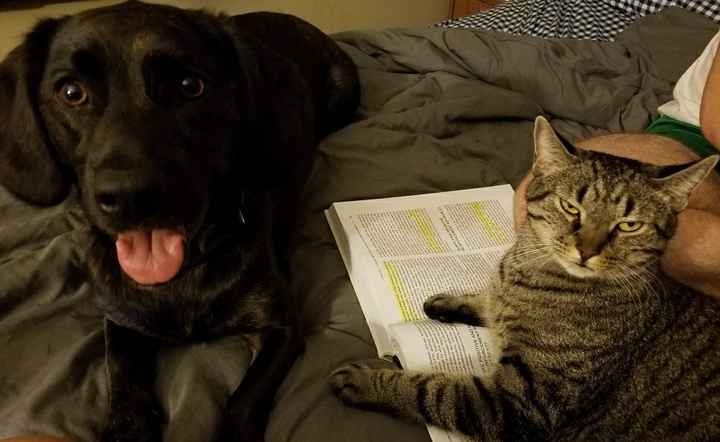 NWR: Furbaby!