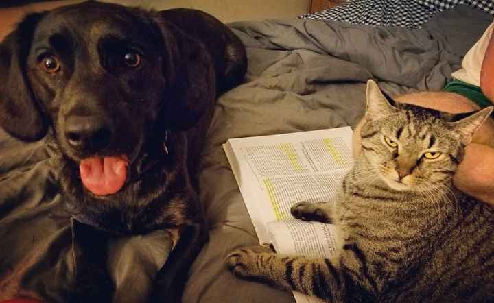 Fur baby supervisor