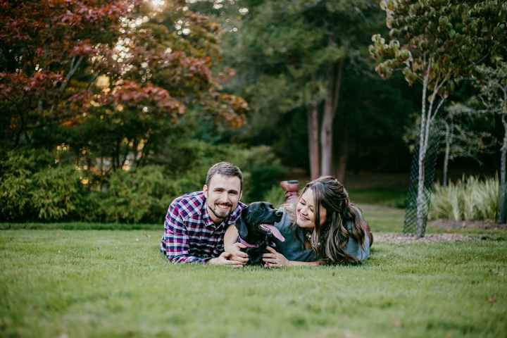 Incorporating your dog in the wedding