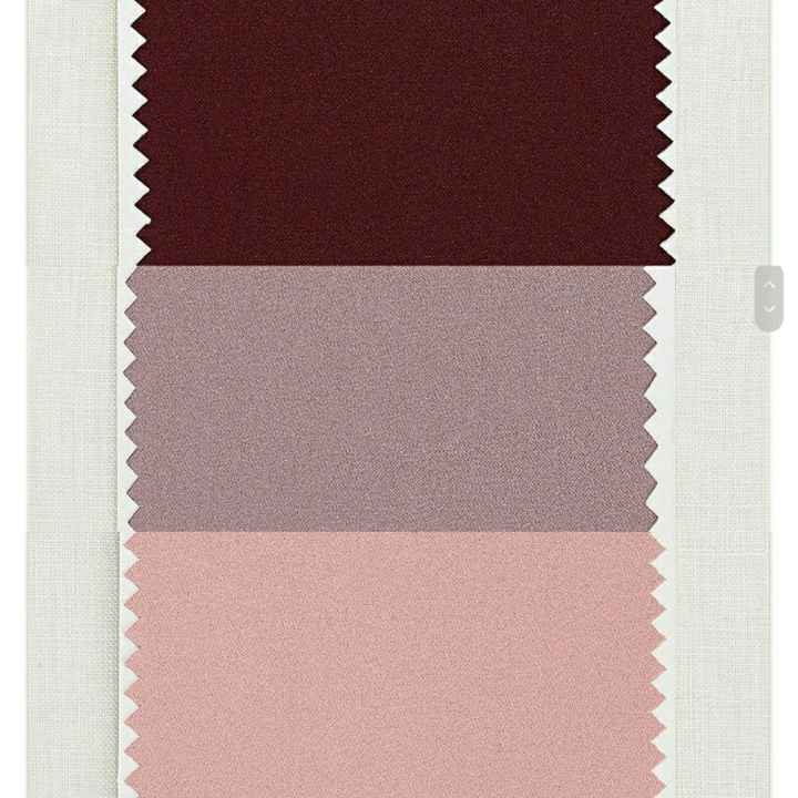 Color Scheme
