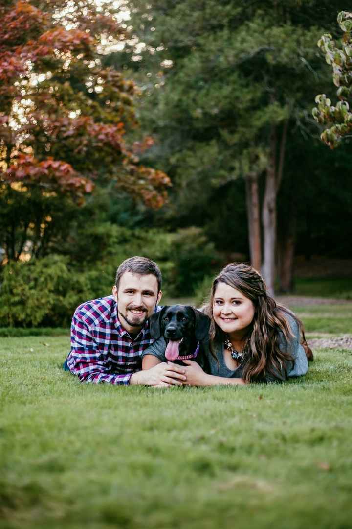 Dogs in E-pics - 1