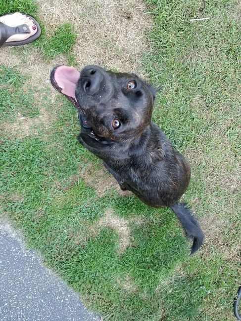 NWR:  Show me your fur babies!
