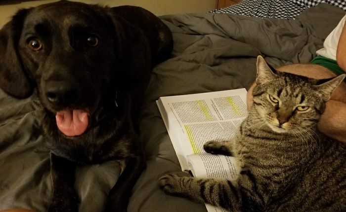 NWR: Furbaby!